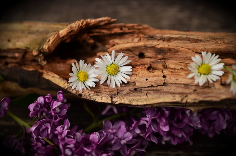 Eco-friendly gifts